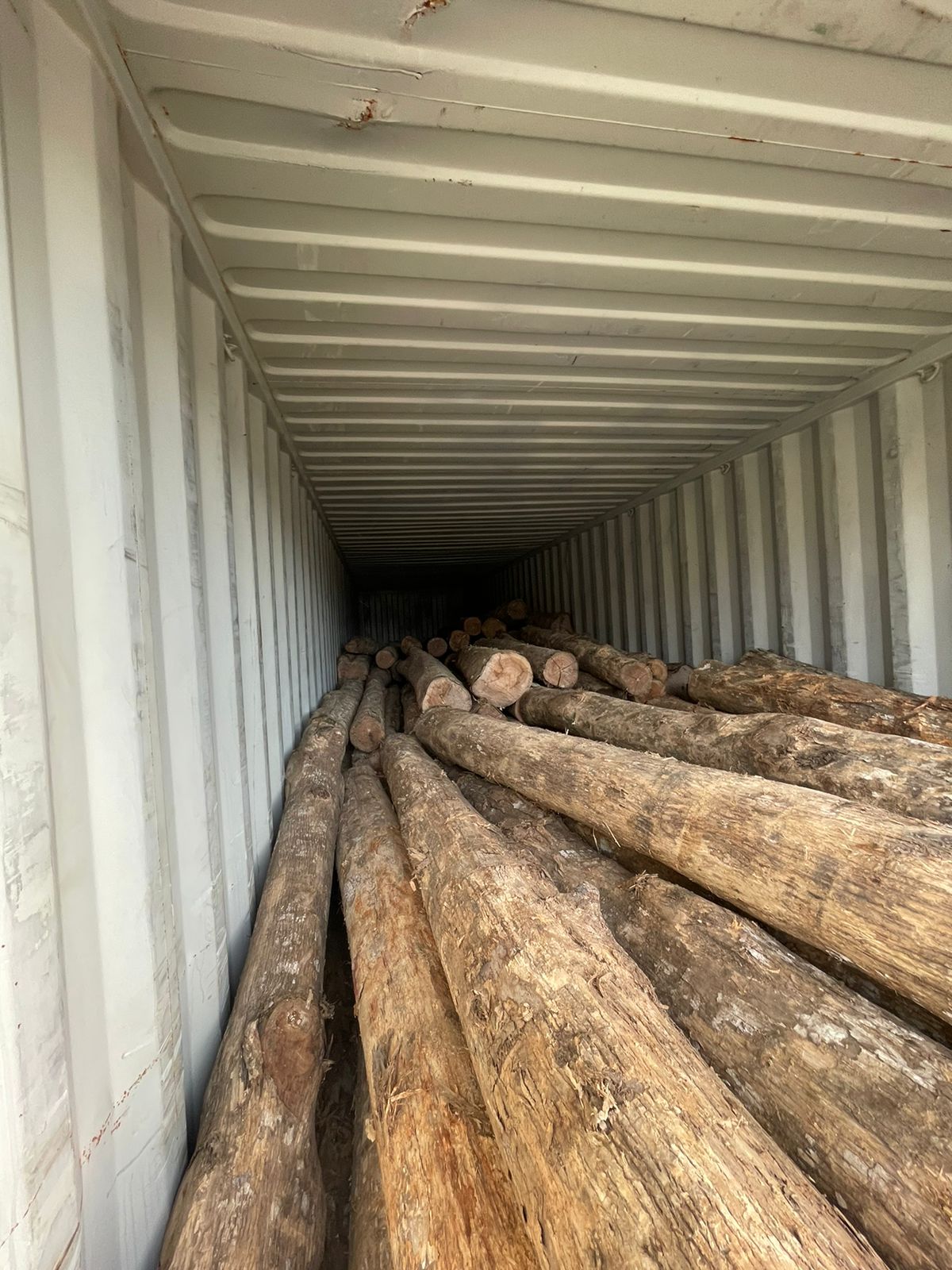 WhatsApp Image 2024-11-18 at 8.50.38 AM (10)