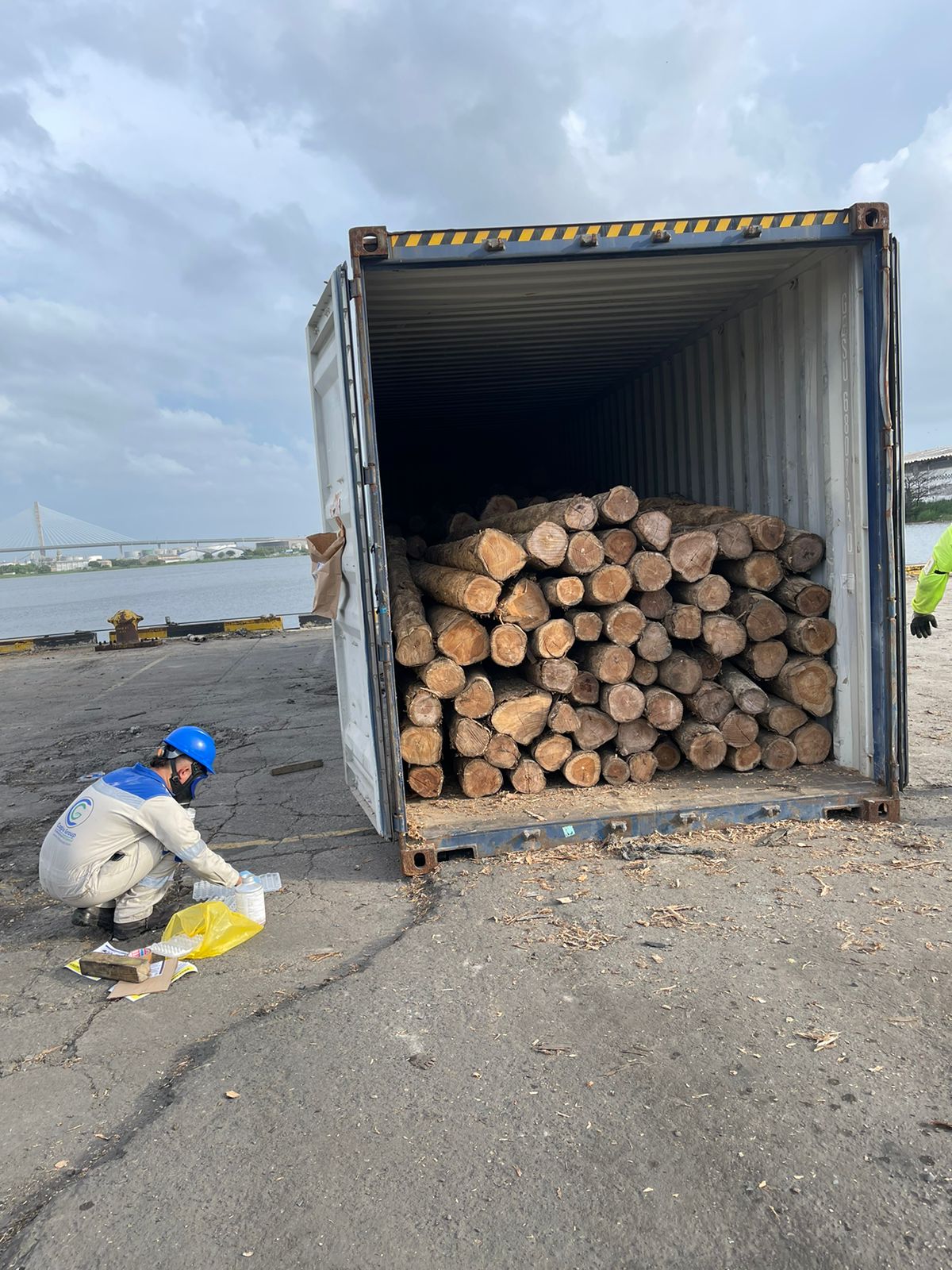 WhatsApp Image 2024-11-18 at 8.50.38 AM (11)