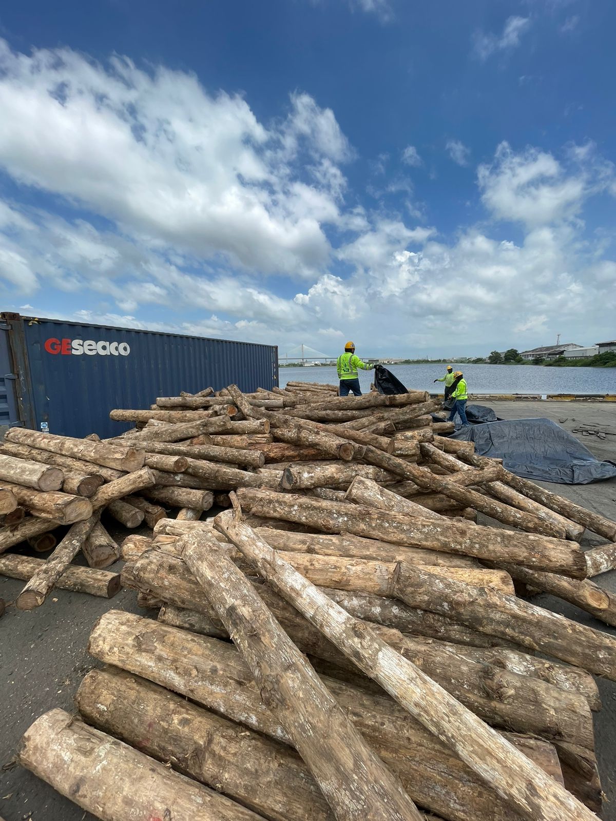 WhatsApp Image 2024-11-18 at 8.50.38 AM (12)