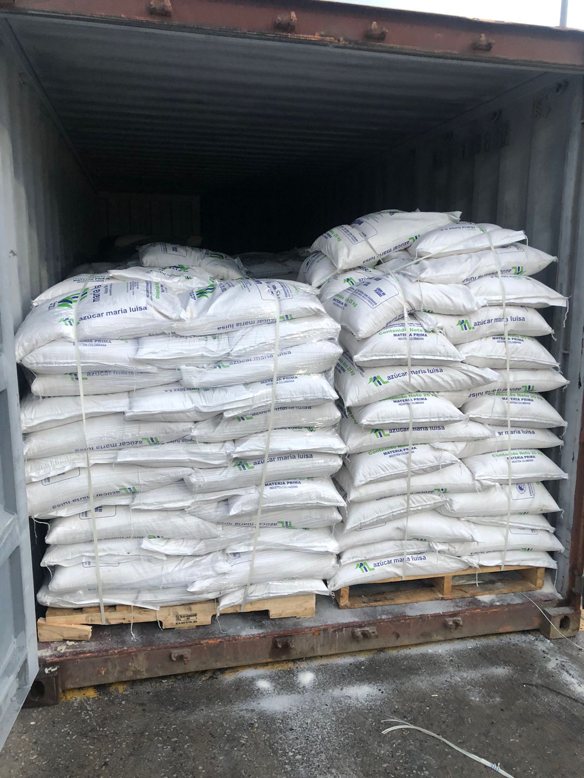 WhatsApp Image 2024-11-18 at 8.50.38 AM (13)