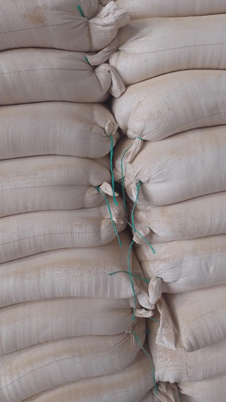 WhatsApp Image 2024-11-18 at 8.50.38 AM (3)