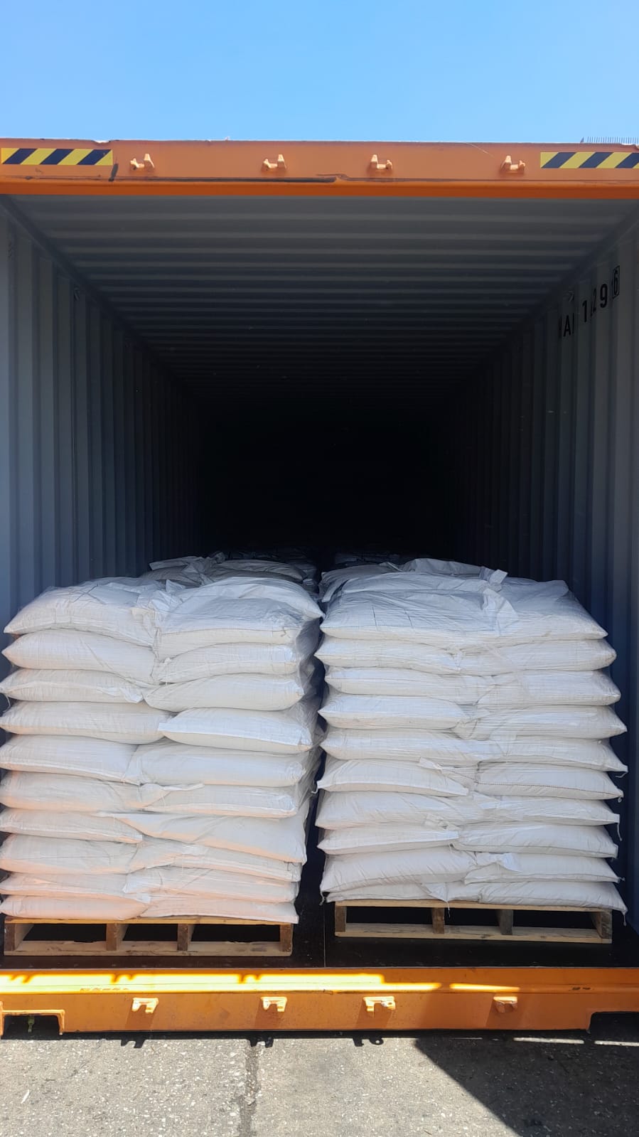 WhatsApp Image 2024-11-18 at 8.50.38 AM (6)