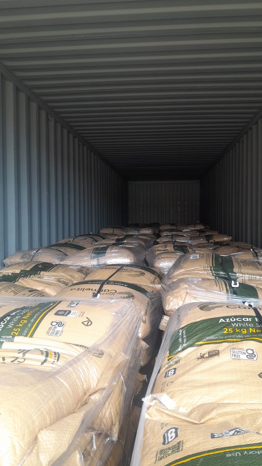 WhatsApp Image 2024-11-18 at 8.50.38 AM (8)