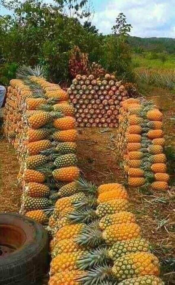 f5af21379af85f717123b091b90f26b1